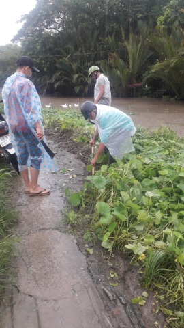 Xã Đoàn Ngọc Hòa thực hiện công trình, phần việc trong chiến dịch TNTN hè