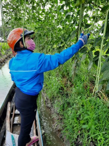 Xã đoàn Hòa Thuận tổ chức thăm các mô hình kinh tế khởi nghiệp của thành viên THT làm kinh tế xã Hòa Thuận