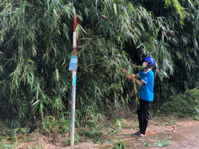 Ngọc Thành, phát quang tuyến đường che khuất tầm nhìn.