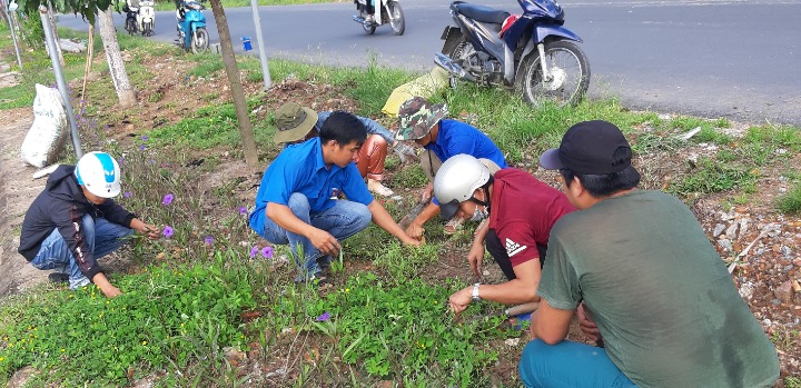 Xã đoàn Long Thạnh duy trì tuyến đường thanh niên tự quản sáng - xanh - sạch đẹp.