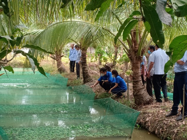 Các phần việc chào mừng Đại hội Đoàn Thanh niên Cộng sản Hồ Chí Minh xã Bàn Tân Định lần thứ XV, nhiệm kỳ 2022-2027