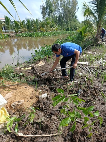 Xã Đoàn Thạnh Bình tổ chức ngày chủ nhật xanh.