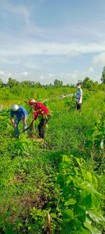 Tuổi trẻ Hoà An phát động phong trào ngày ``chủ nhật xanh`` năm 2022