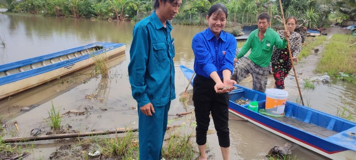 Xã Đoàn Thạnh Hưng thăm mô hình nuôi cá trên ruộng lúa sau bão