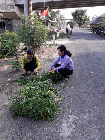 Xã Đoàn Thạnh Hưng tổ chức ra quân thực hiện Trồng hoa theo phần việc trong chiến dịch TNTN hè năm 2023