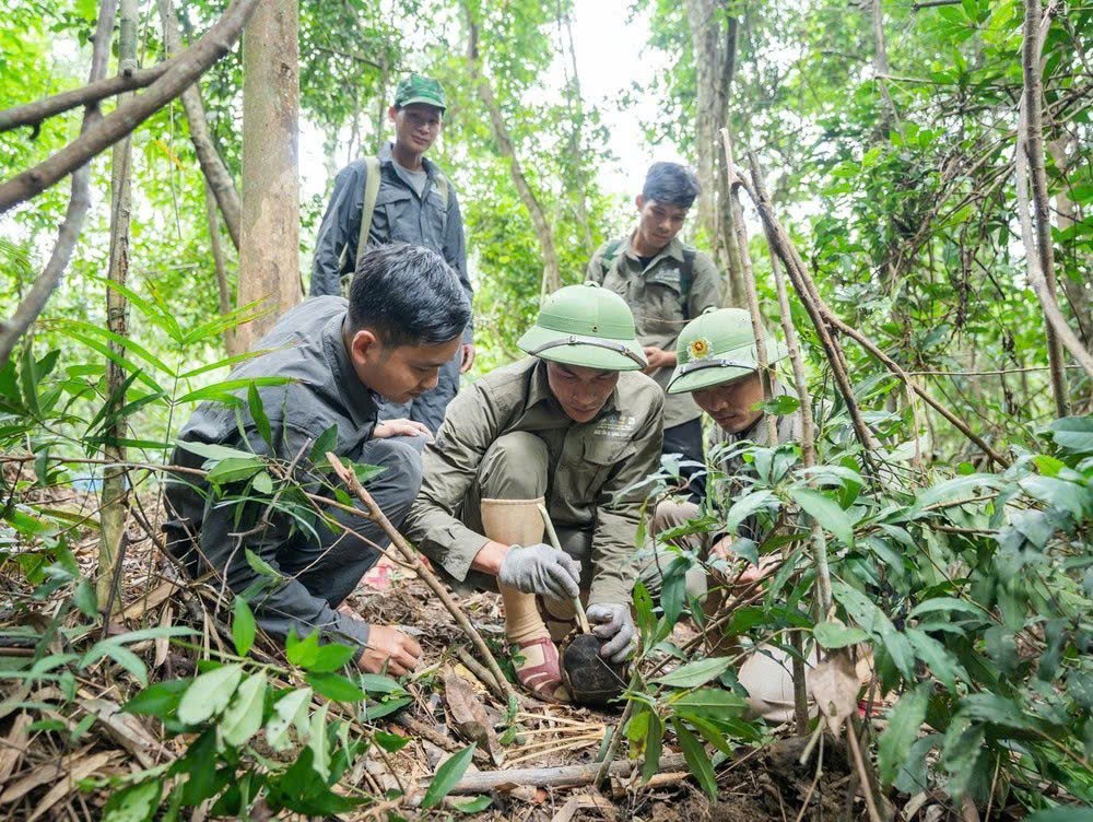 Bảo vệ động vật hoang dã trên dãy Trường Sơn: 'Biệt đội' giải cứu thú rừng