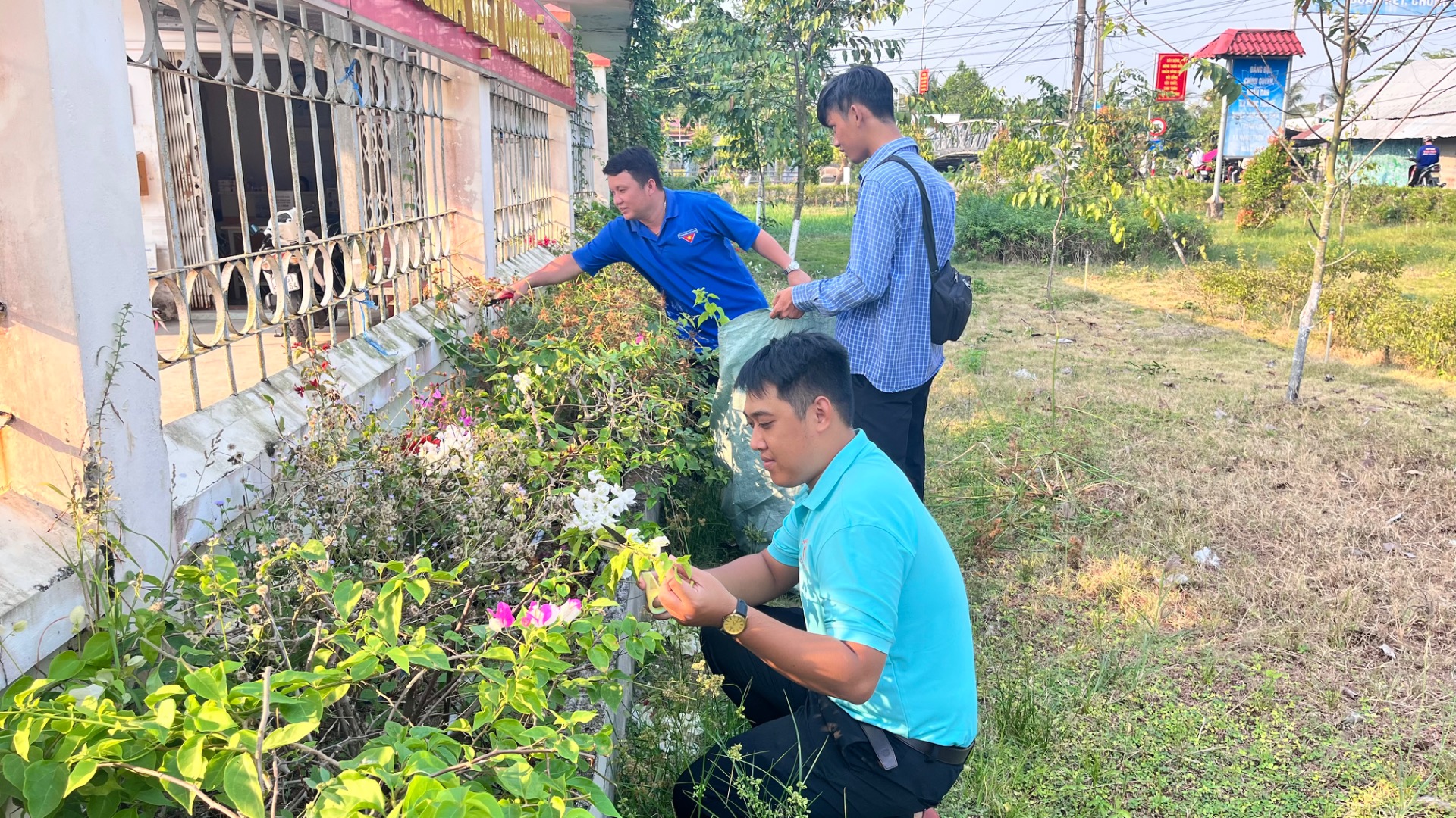 NGỌC THÀNH, TỔ CHỨC CHỨC CHĂM SÓC VÀ LÀM CỎ CÔNG TRÌNH THANH NIÊN 